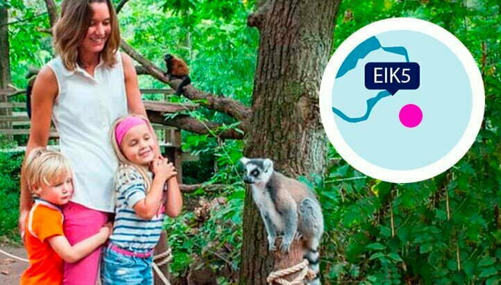 Vakantiehuis Eik5 aan het Veluwemeer ligt vlakbij de Apenheul.