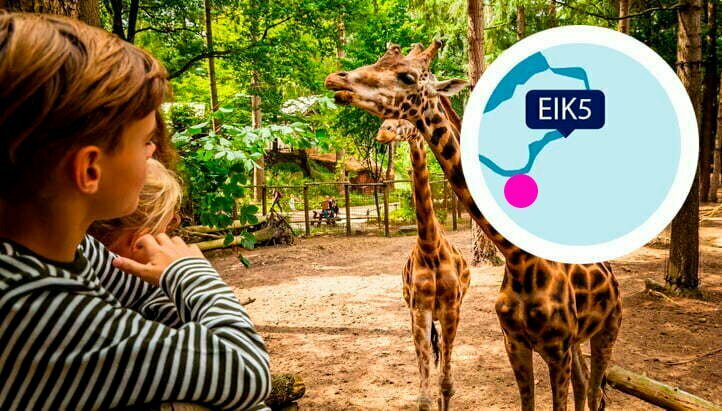Vakantiehuis Eik5 aan het Veluwemeer ligt vlakbij Dierenpark Amersfoort. Vakantiehuis Eik5 aan het Veluwemeer ligt vlakbij Dierenpark Amersfoort.