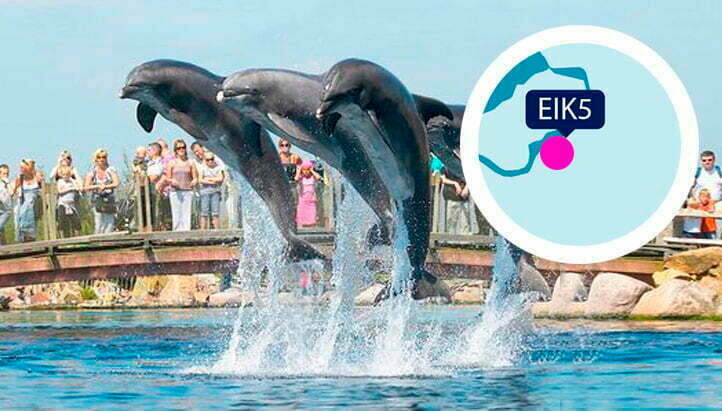 Vakantiehuis Eik5 aan het Veluwemeer ligt vlakbij het Dolfinarium. Vakantiehuis Eik5 aan het Veluwemeer ligt vlakbij het Dolfinarium.