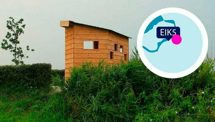 Nabij vakantiehuis Eik5 aan het Veluwemeer kun je vogels spotten.