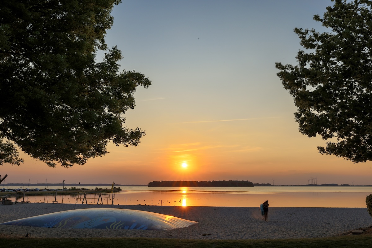 Eik 5 aan het Veluwemeer